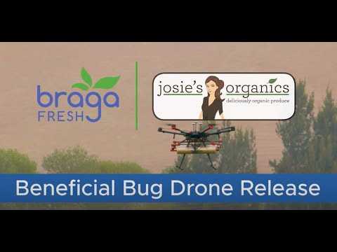 Beneficial Bug Drone Release