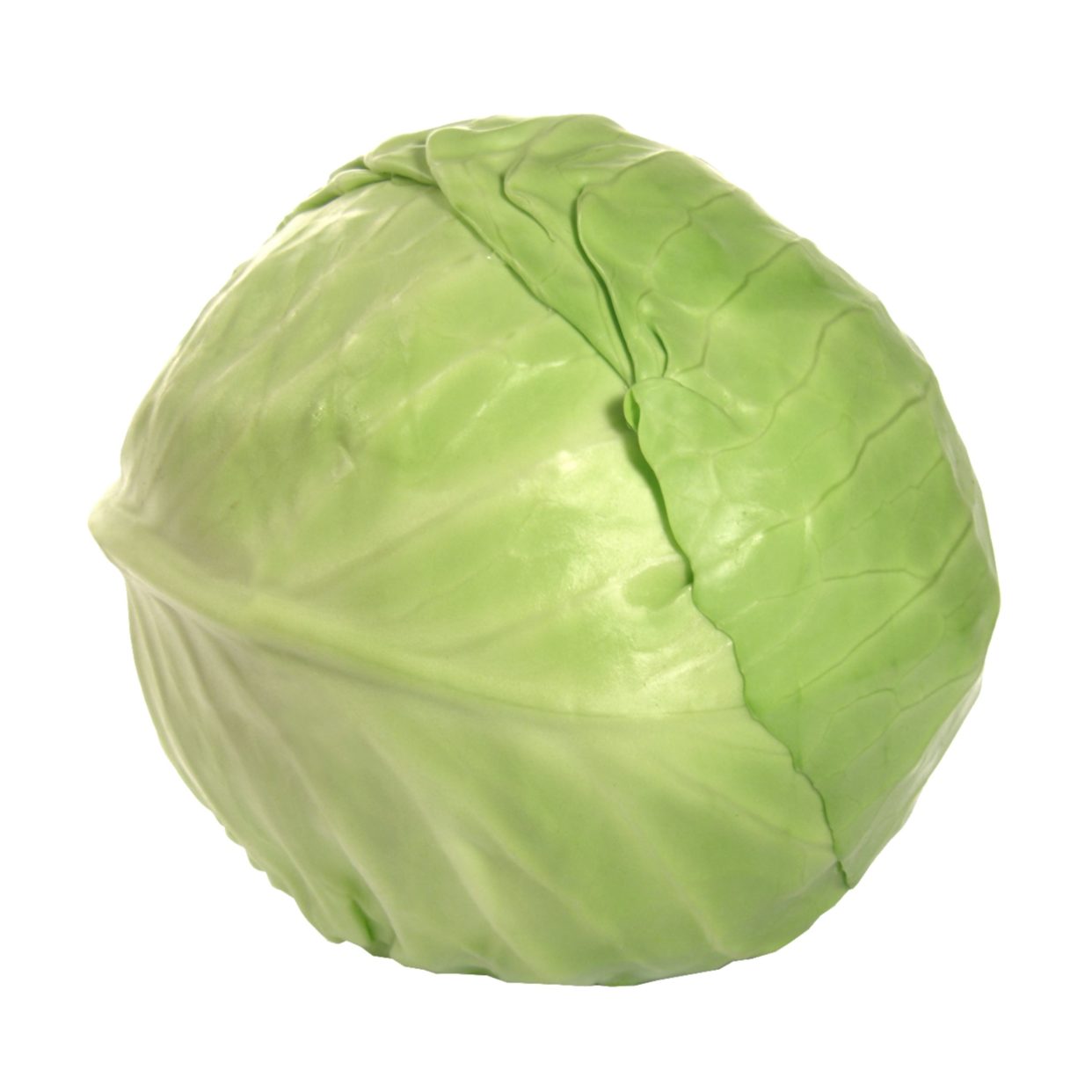 Green Cabbage